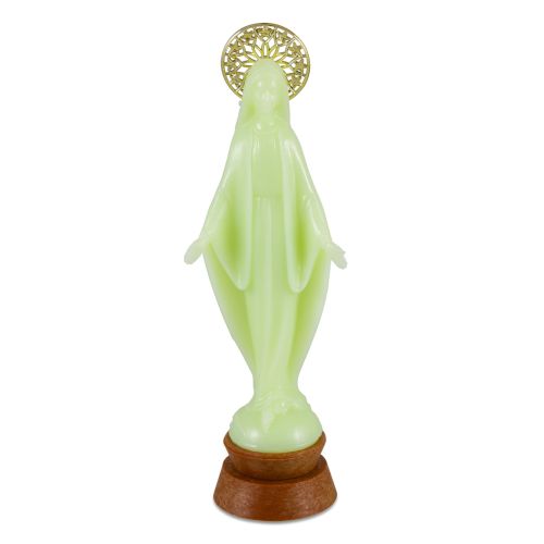 Madonna, dispenser of grace with halo, luminous