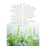 10 Postkarten mit christlichen Motiven